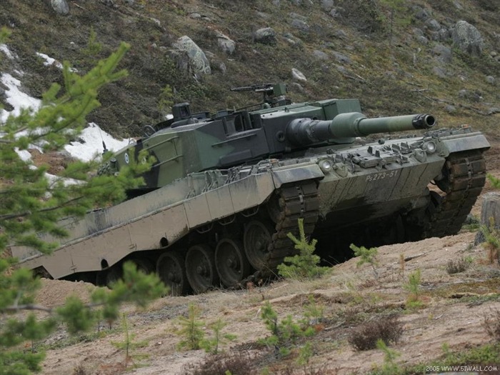 豹2A5 豹2A6型坦克15
