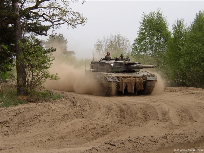 豹2A5 豹2A6型坦克24