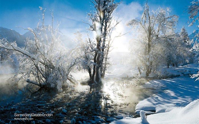 Switzerland Tourism Winter wallpaper #10