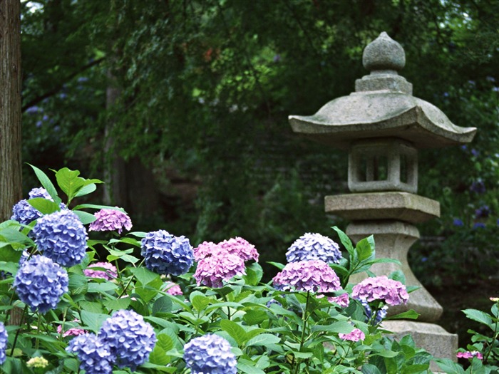 Especial del Japón fondos de escritorio de la Cultura #7