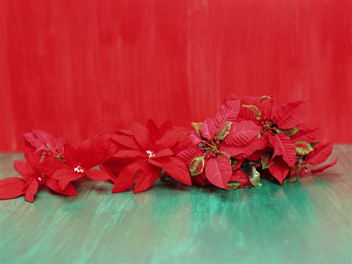 Christmas landscaping series wallpaper (7) #7