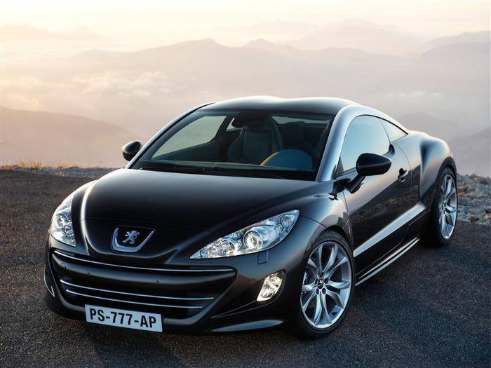 2010 Peugeot RCZ(标致308)3