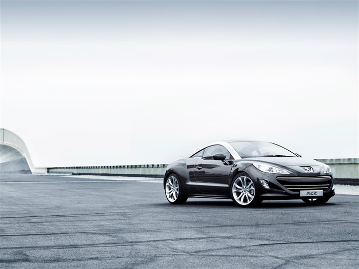 2010 Peugeot RCZ 308 Wallpaper #16