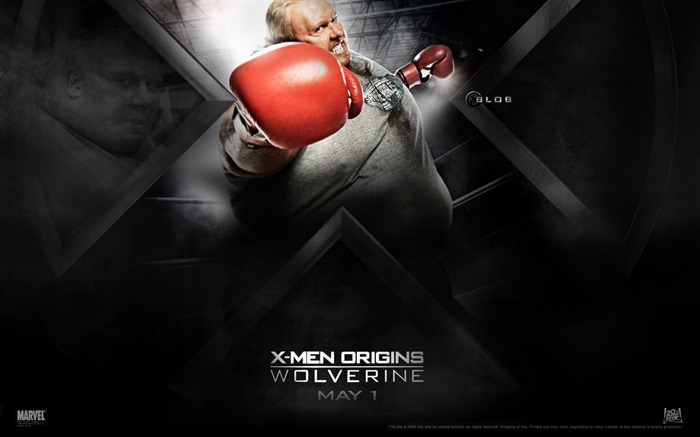 Fonds d'écran du film Wolverine #2