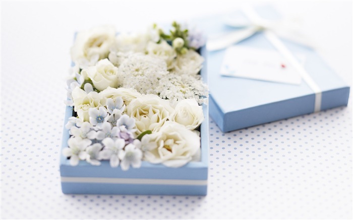 Flowers Gifts HD Wallpapers (1) #8