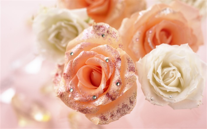 Flowers Gifts HD Wallpapers (1) #14