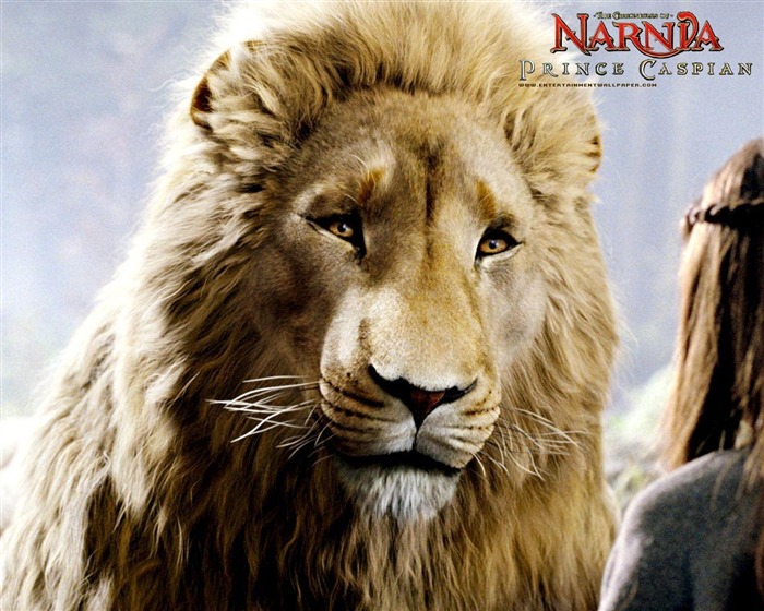 Le Monde de Narnia 2: Prince Caspian #5