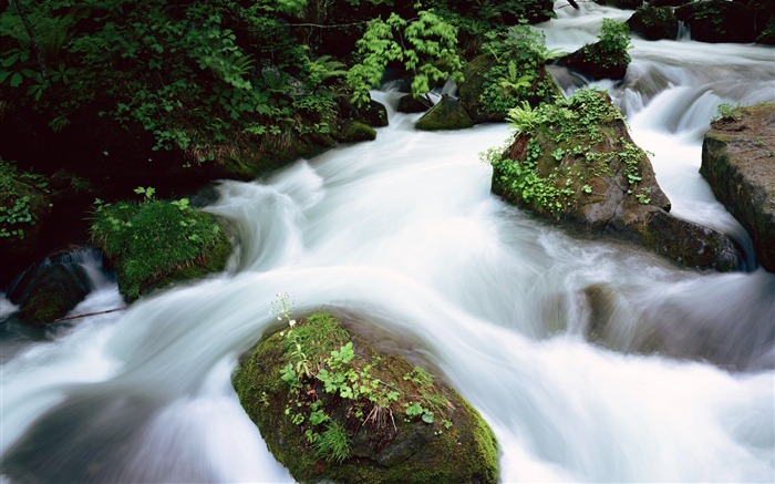 Waterfall streams HD Wallpapers #34