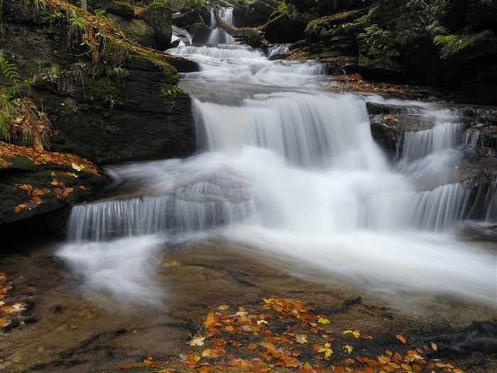 Webshots Fondos de Paisajes (6) #34