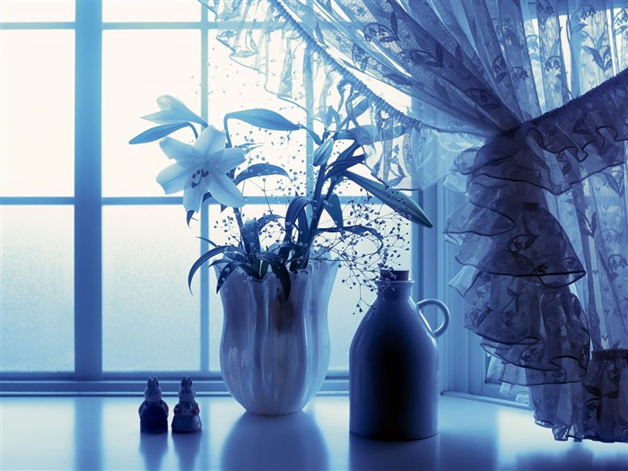 Indoor Still Life Wallpaper Album (2) #2