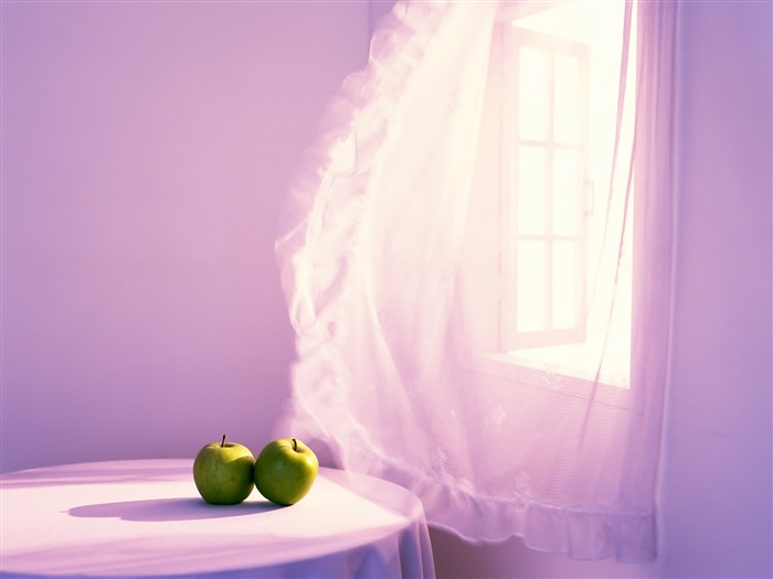 Indoor Still Life Wallpaper Album (2) #9