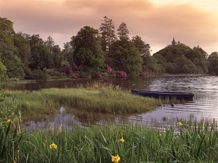 paysage mondial de l'Irlande d'écran #7