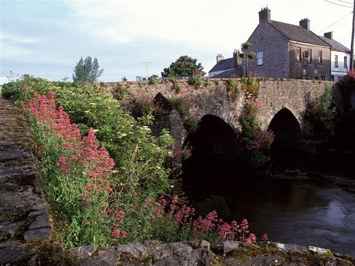 paysage mondial de l'Irlande d'écran #17