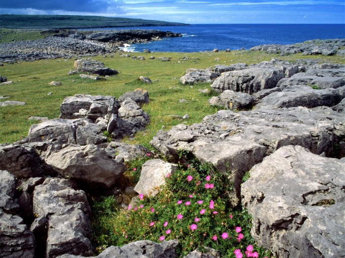 paysage mondial de l'Irlande d'écran #19