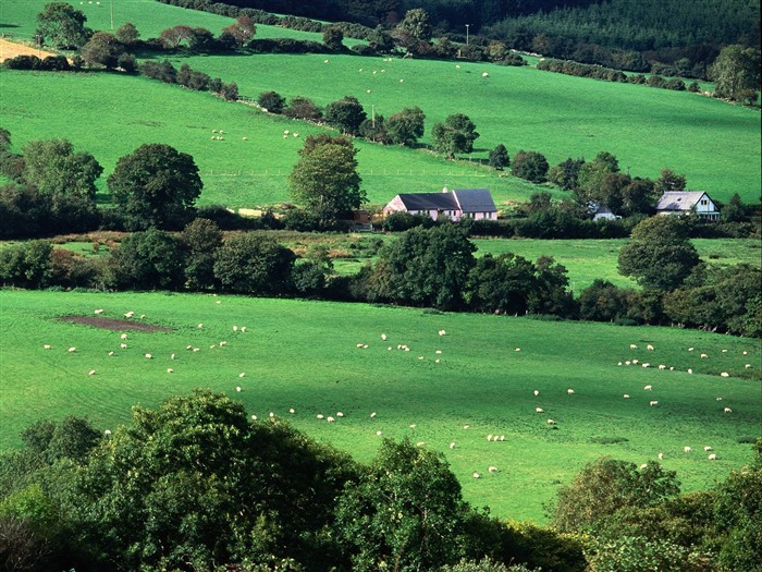 paysage mondial de l'Irlande d'écran #20