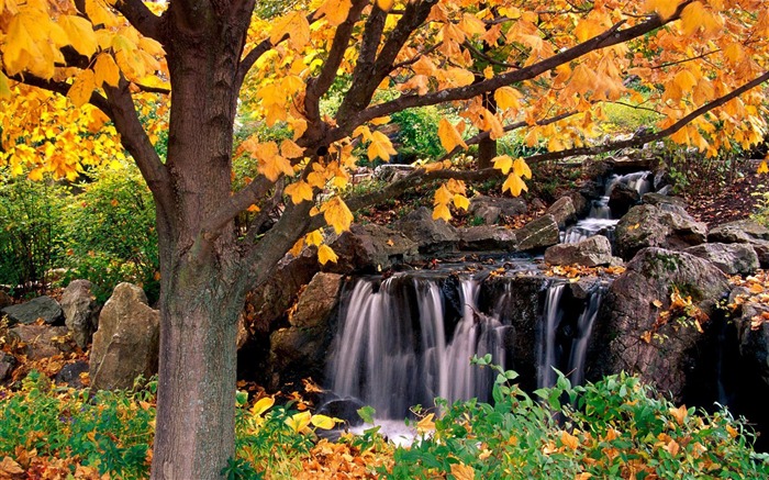 fonds d'écran un beau paysage naturel (4) #20