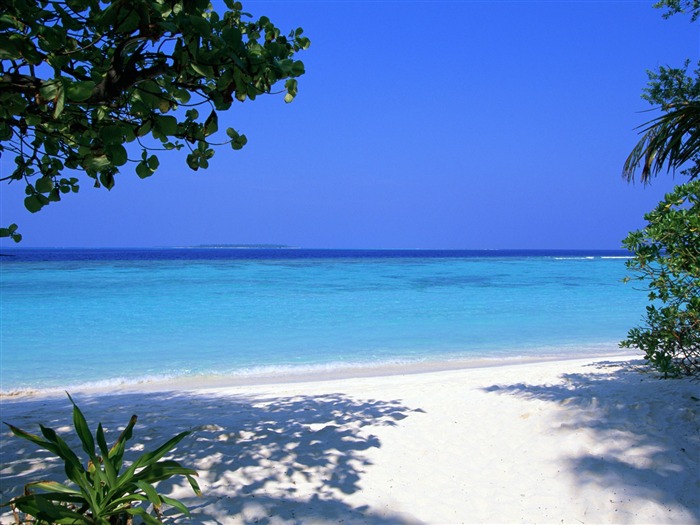 Playa álbumes fondos de escritorio de paisajes #25