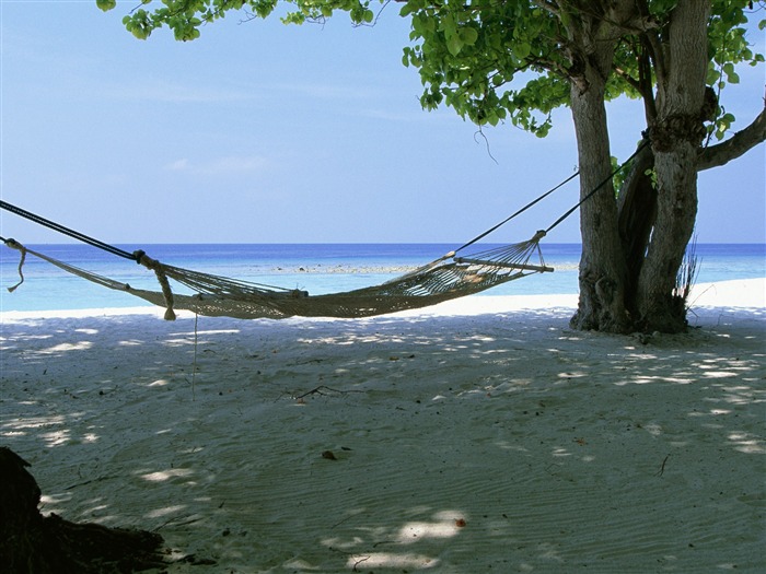 Playa álbumes fondos de escritorio de paisajes #29