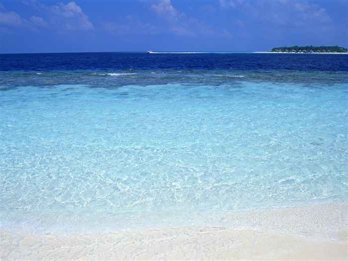 Playa álbumes fondos de escritorio de paisajes #30