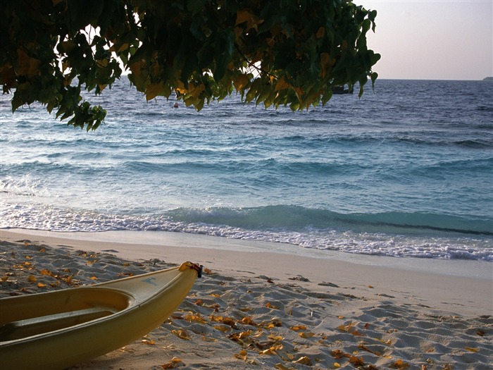 Playa álbumes fondos de escritorio de paisajes #32