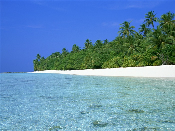 Playa álbumes fondos de escritorio de paisajes #34