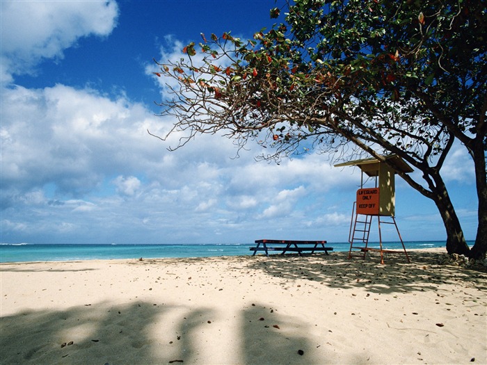 Playa álbumes fondos de escritorio de paisajes #39