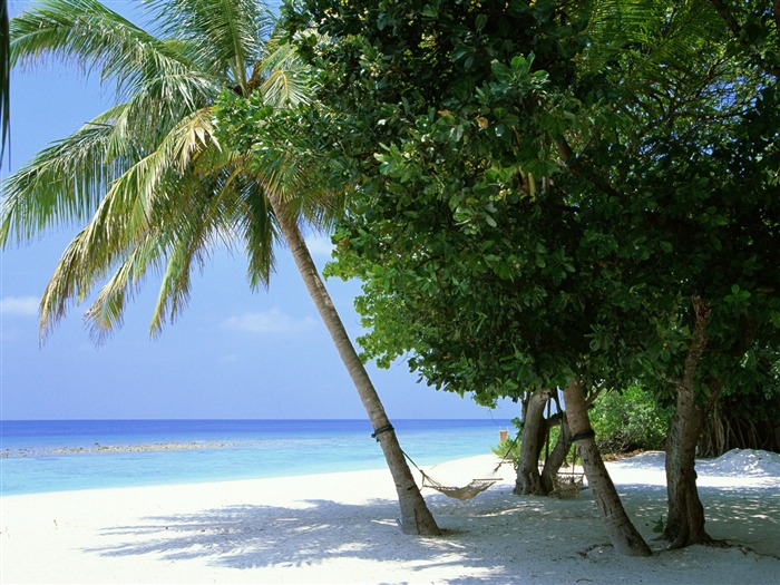 Playa álbumes fondos de escritorio de paisajes #40