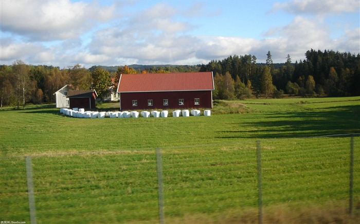 paysage mondial du Danemark d'écran #17