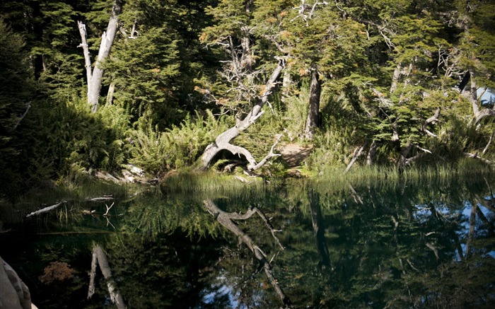 Patagonia escenario natural de Escritorio #13