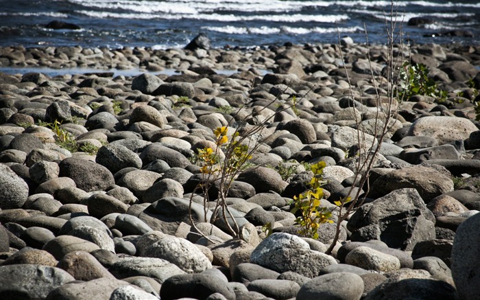 Patagonia paysages naturels Fond d'écran #22