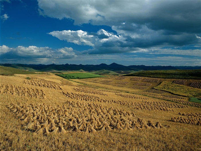 Cielo paisaje hermoso fondo de pantalla #5