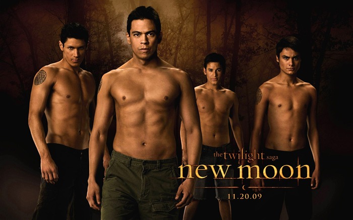 Saga Twilight: New Moon wallpaper album (2) #9