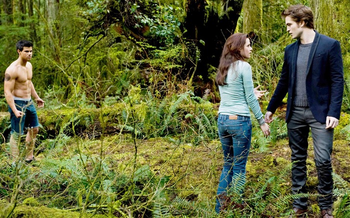 The Twilight Saga: New Moon Wallpaper Album (2) #19