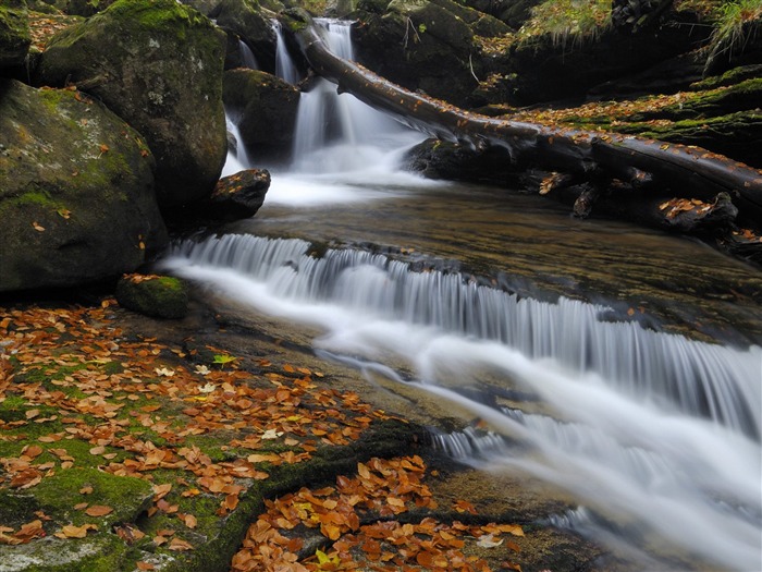 Fonds d'écran paysages Webshots (8) #11