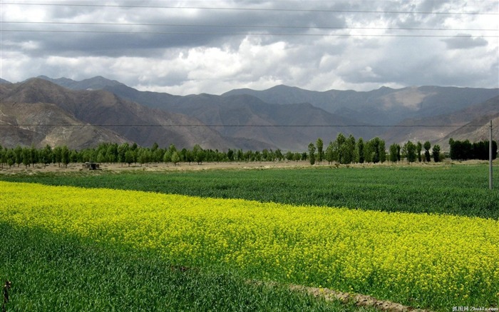 Tibet Landschaft Tapeten Alben #17