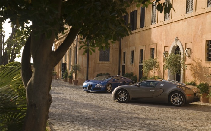 Bugatti Veyron 布加迪威龙 壁纸专辑(一)6