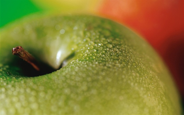 Fruit fonds d'écran photo shoot #10