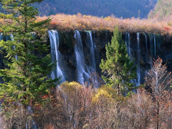 如画风景壁纸8