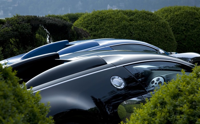 Bugatti Veyron 布加迪威龍壁紙專輯(二) #16