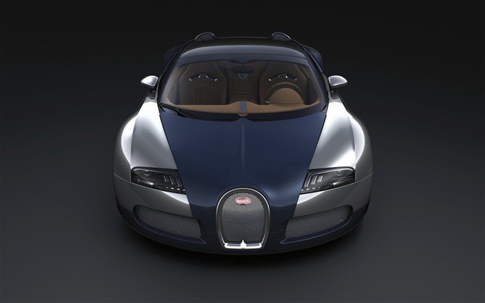 Bugatti Veyron 布加迪威龍壁紙專輯(二) #20
