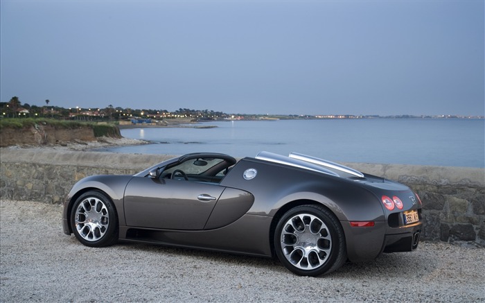 Bugatti Veyron Fondos de disco (3) #6