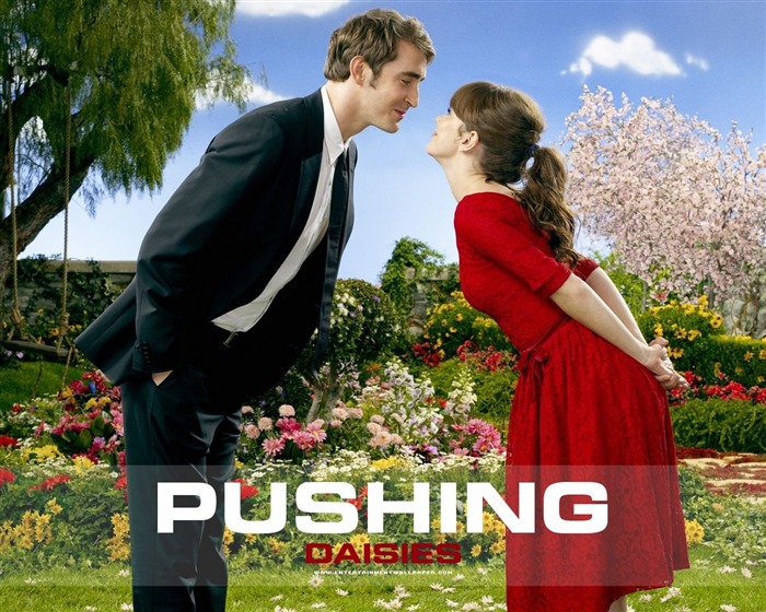 Pushing Daisies wallpaper #8