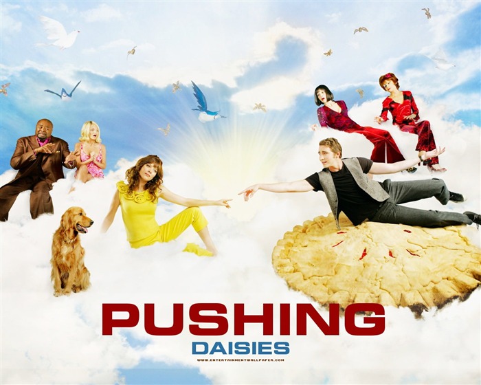 Pushing Daisies Tapete #12