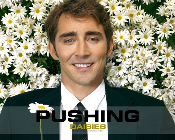 Pushing Daisies Tapete #20