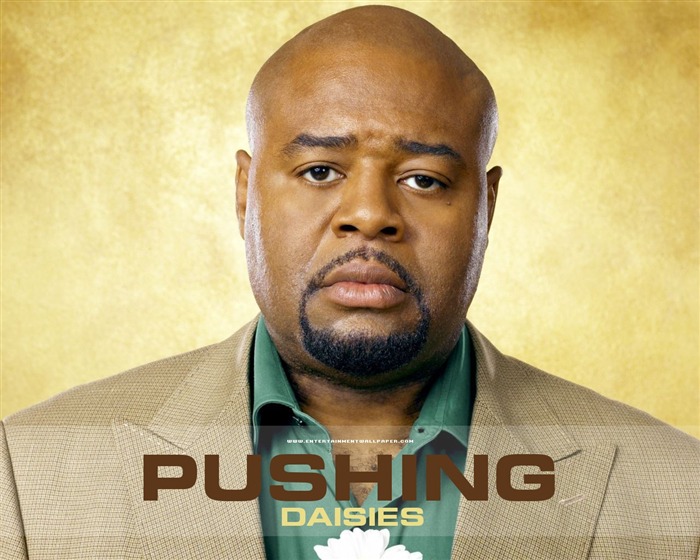 Pushing Daisies 灵指神探23