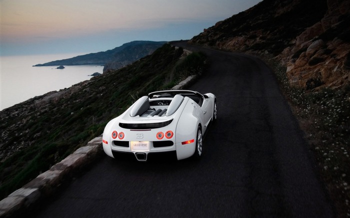 Bugatti Veyron Wallpaper Album (4) #2