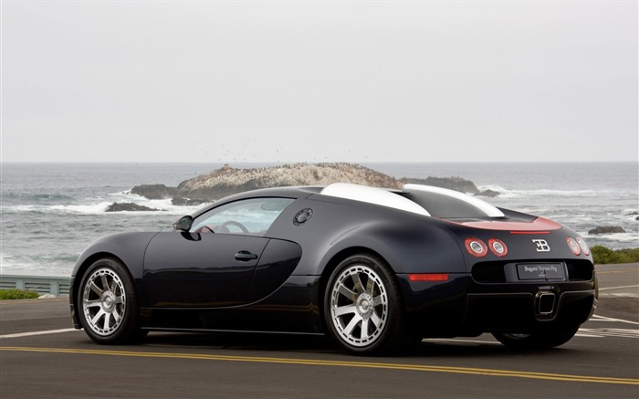 Bugatti Veyron 布加迪威龙 壁纸专辑(四)15