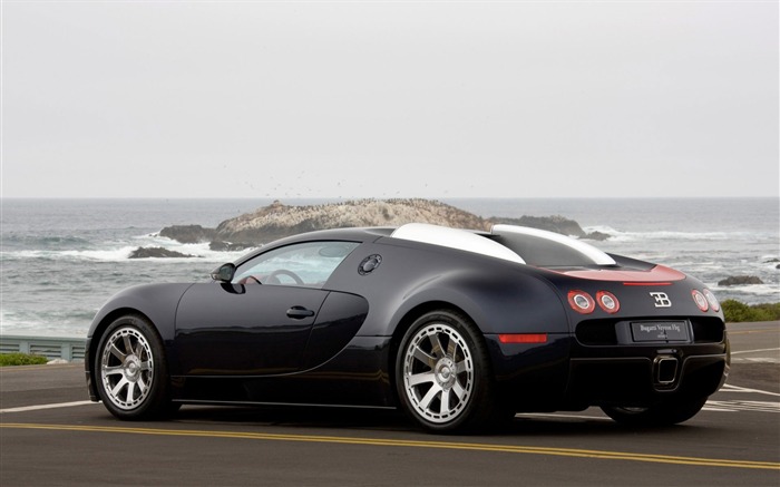 Bugatti Veyron Wallpaper Album (4) #15