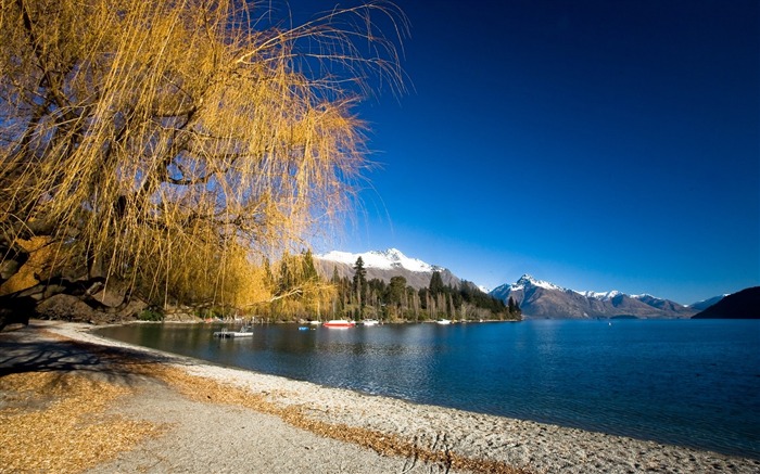 New Zealand's picturesque landscape wallpaper #21