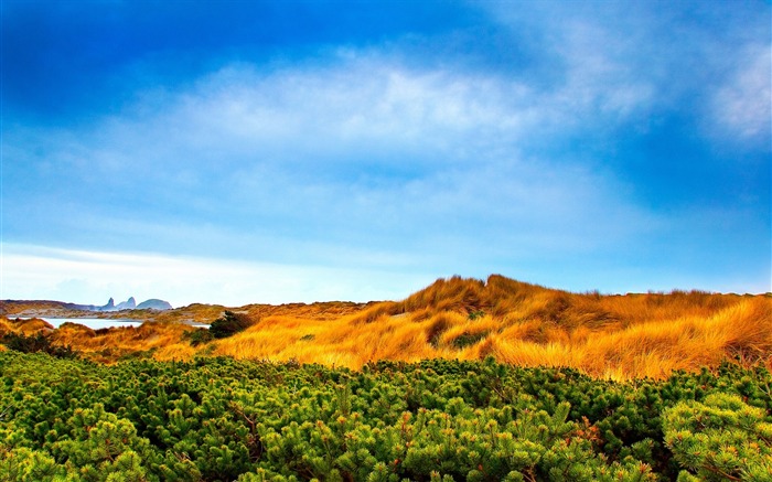 Featured Landschaft Tapeten Ersticken Schönheit #16